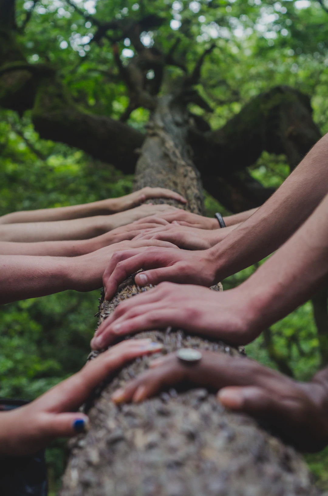 Finding Your Soul Community Support During Recovery