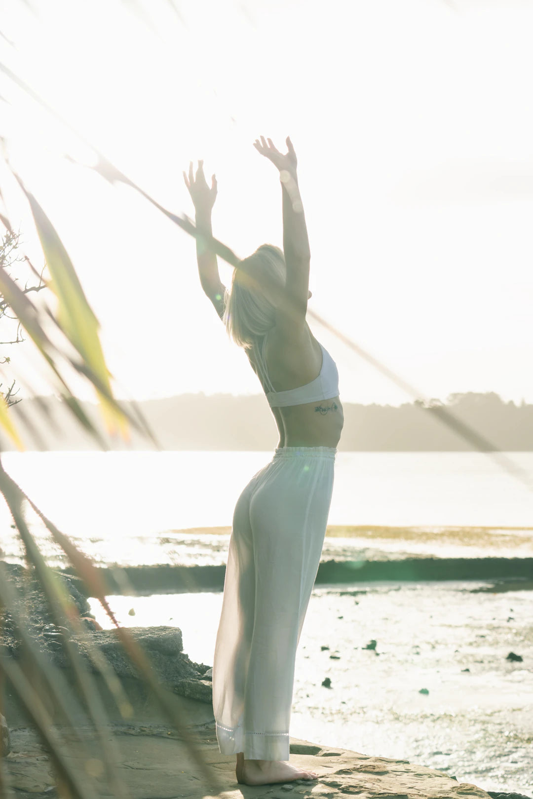Achieving Balance Harmonizing Mind, Body, and Soul