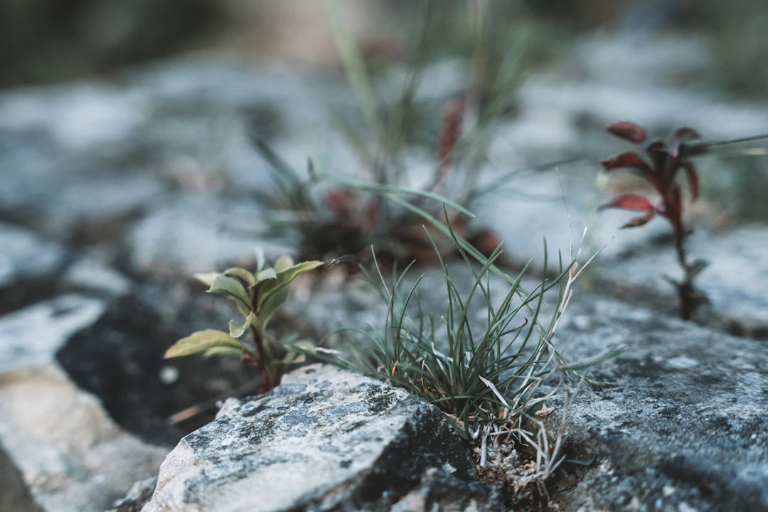 Rediscovering Power Finding Strength After Domestic Violence