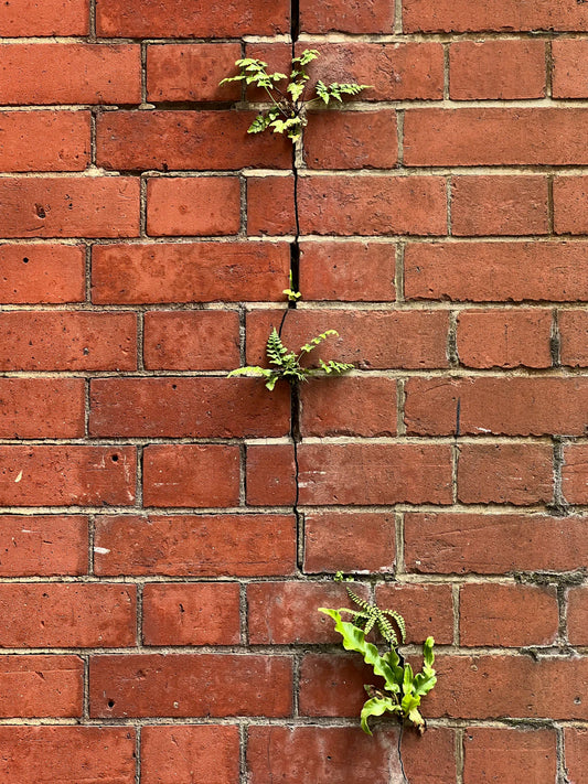 Building Inner Strength Cultivating Resilience After Cancer