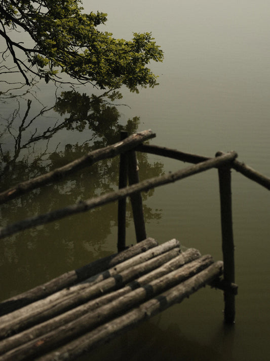 Capture Calm Using Photography for Mental Wellness