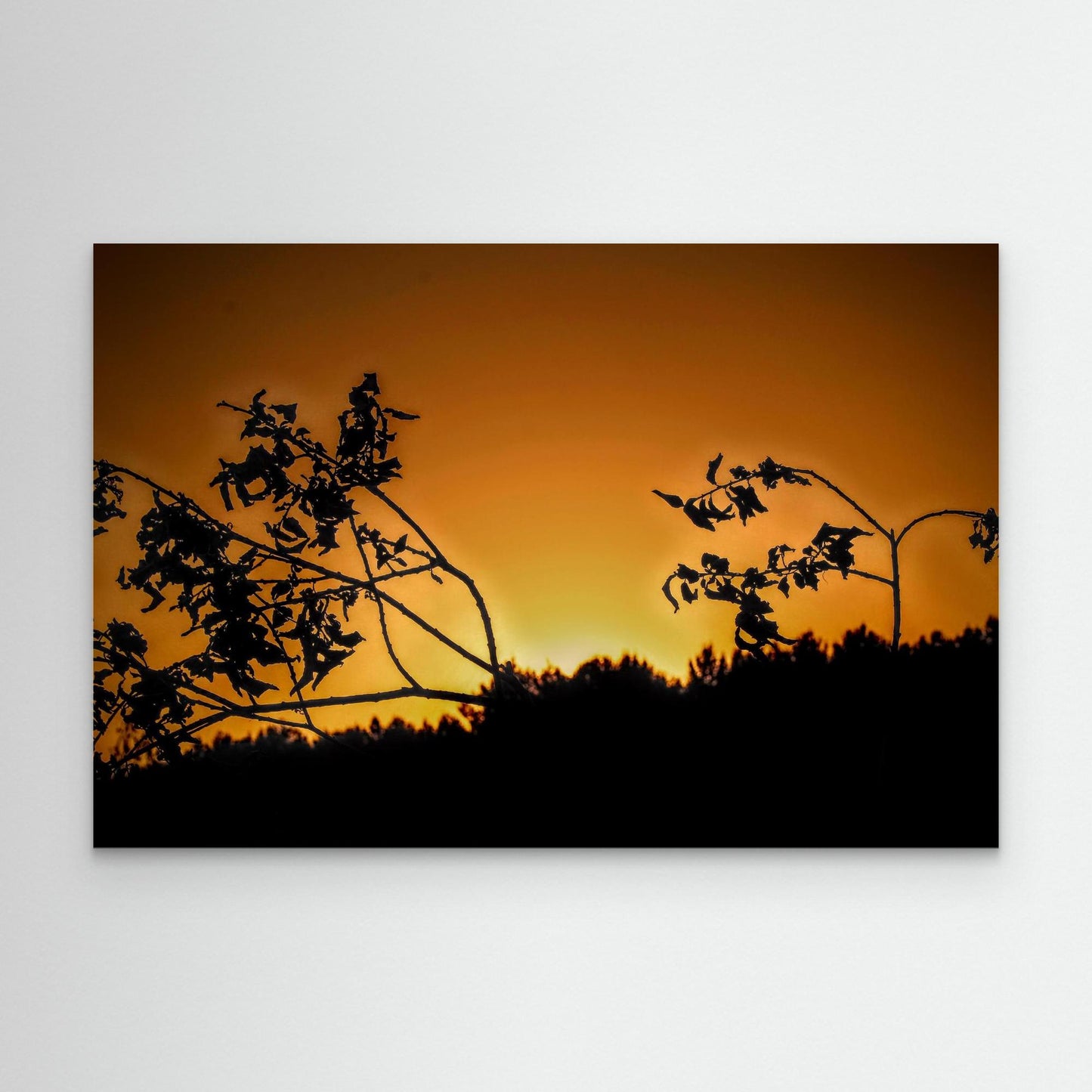 Orange sunset