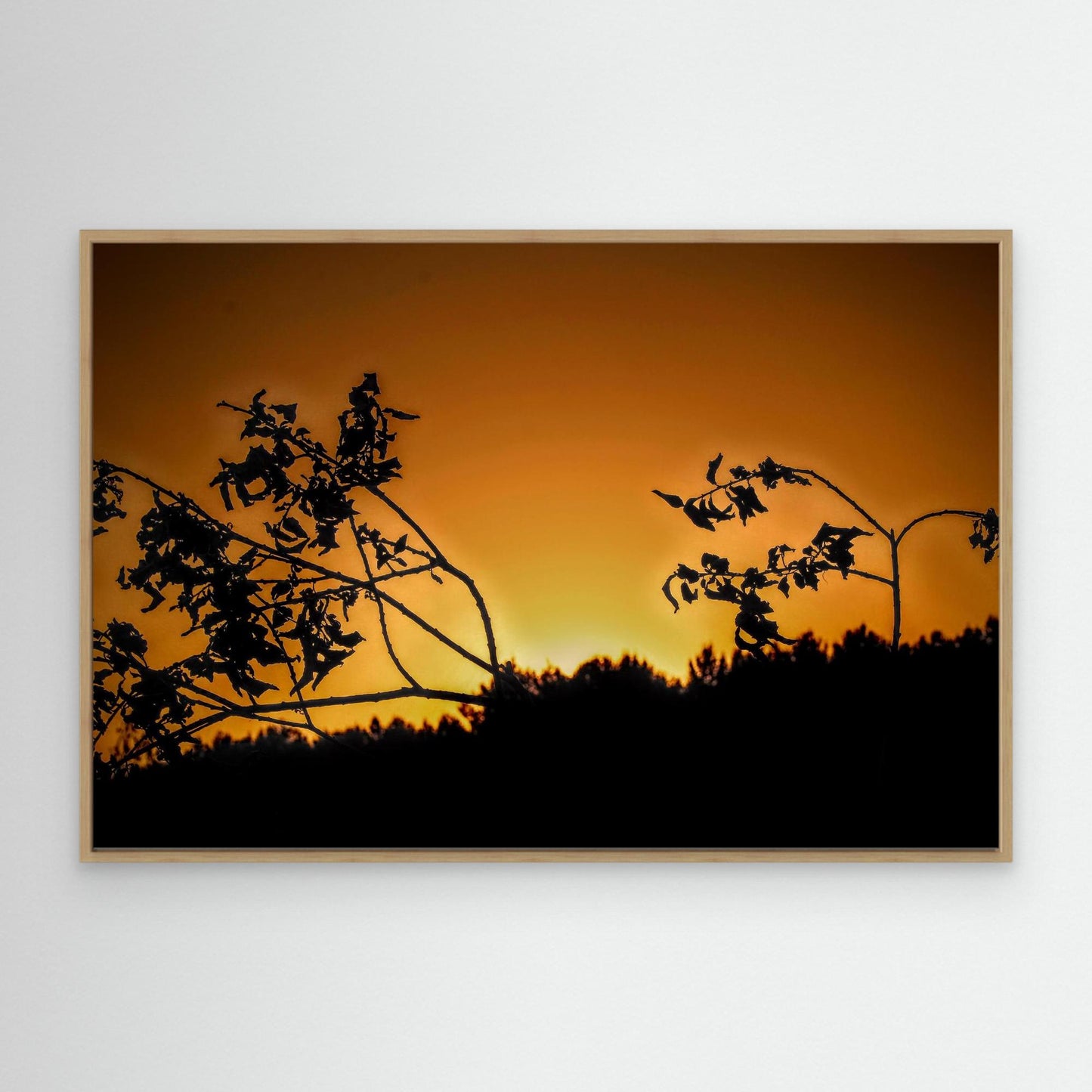 Orange sunset