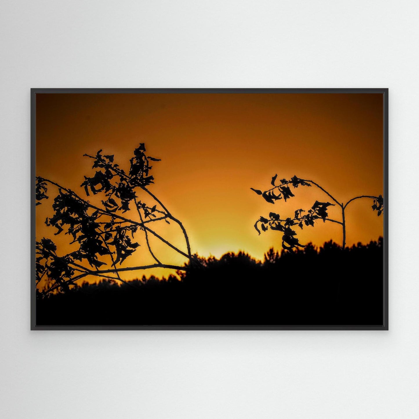 Orange sunset