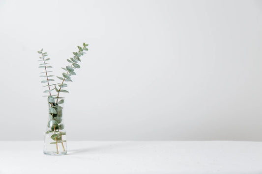 The Transformative Power of Nature in Art for Mental Wellness