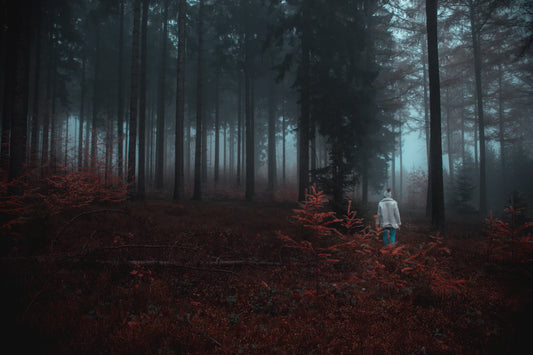 Finding Your Voice Sharing Your Survival Story