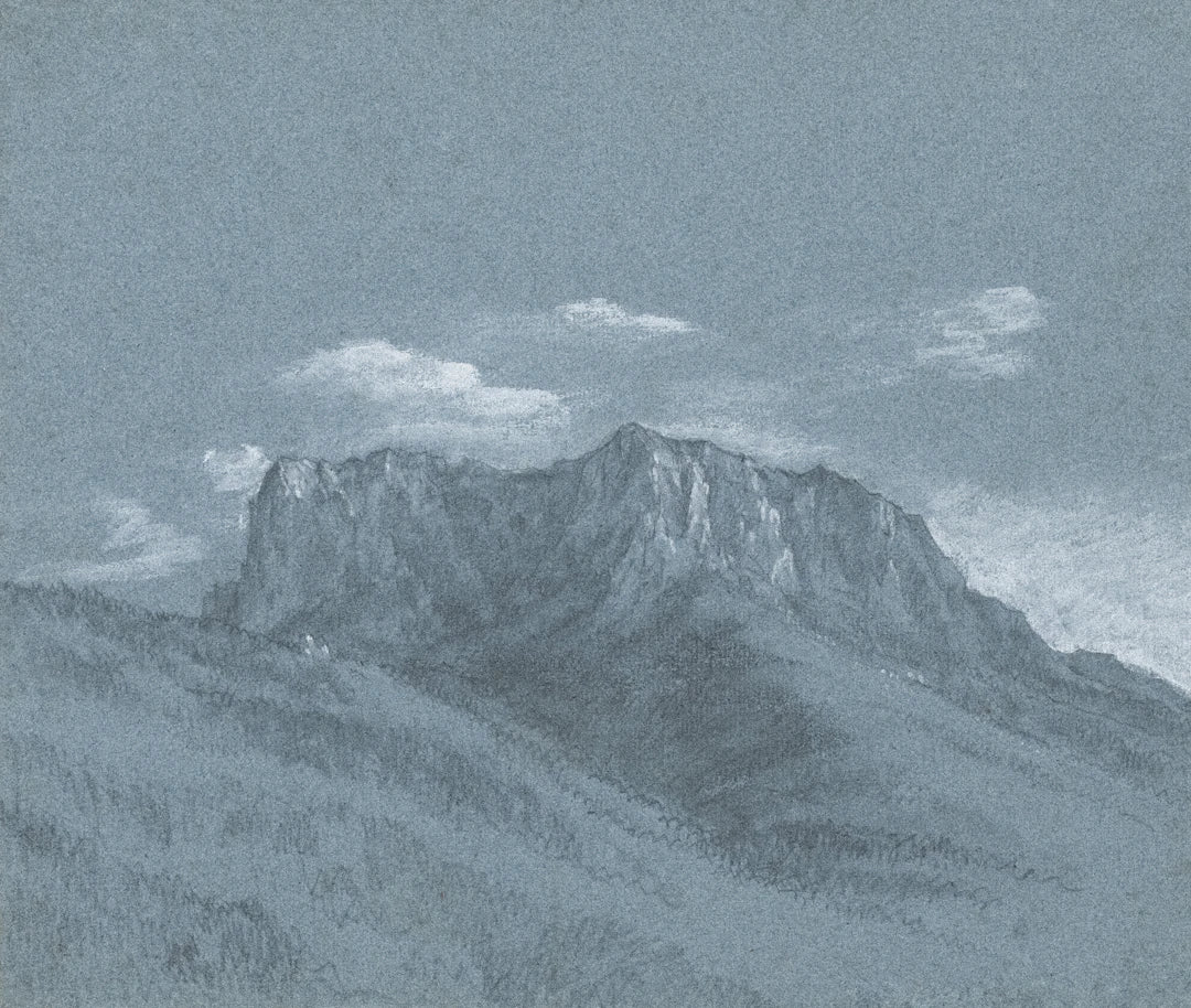 Transform Your Space with Nature-Inspired Art