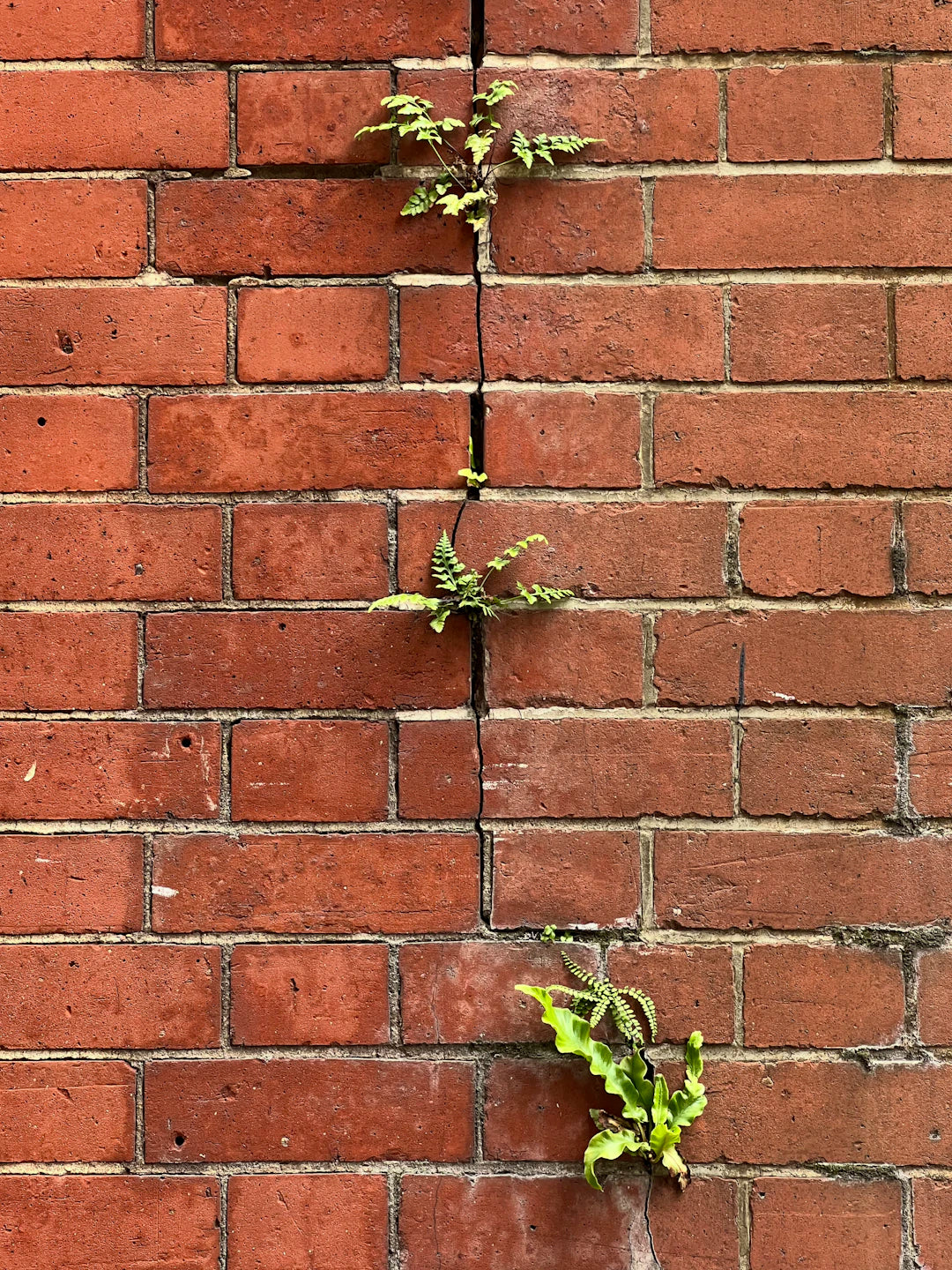 Rebuild Your Life Empowering Goal-Setting for Survivors