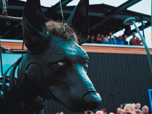 The Transformative Power of Storytelling Through Art