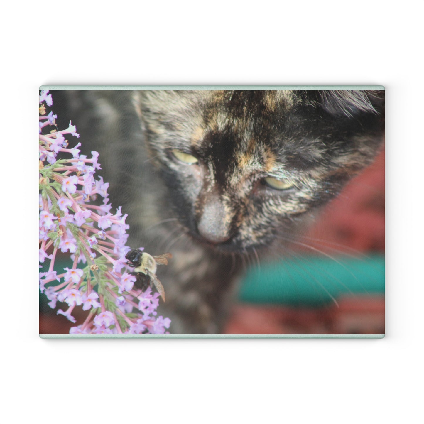 Glass Cutting Board  Curious Cat with Bee