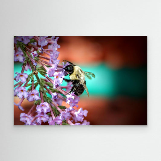 Busy Bee