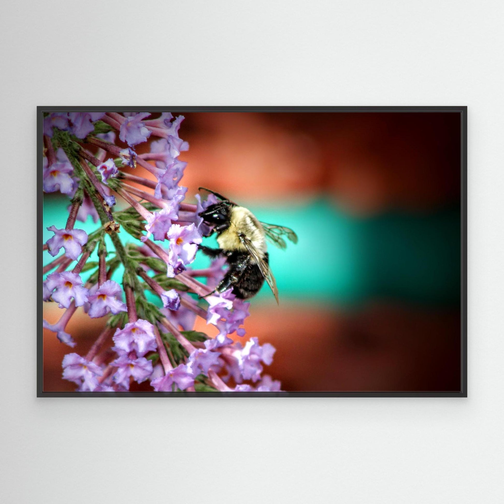 Busy Bee